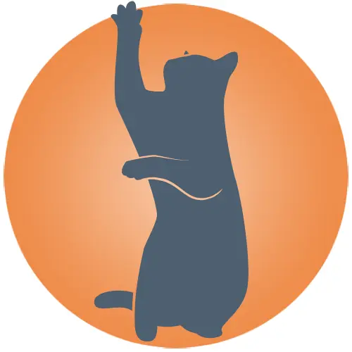 Silhouette chat chartreux - Page non trouv&eacute;e, erreur 404