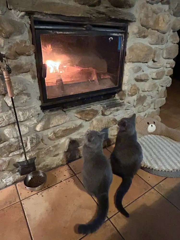 Arwen et Arsen